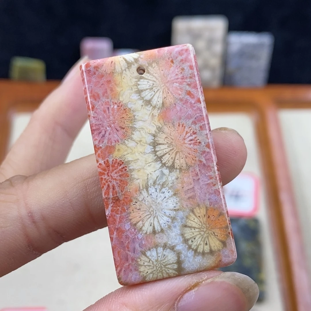 硅化珊瑚（珊瑚玉）1未镶嵌34