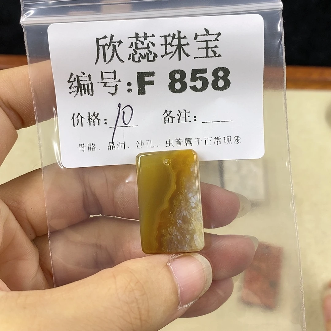 硅化珊瑚（珊瑚玉）1未镶嵌L*
