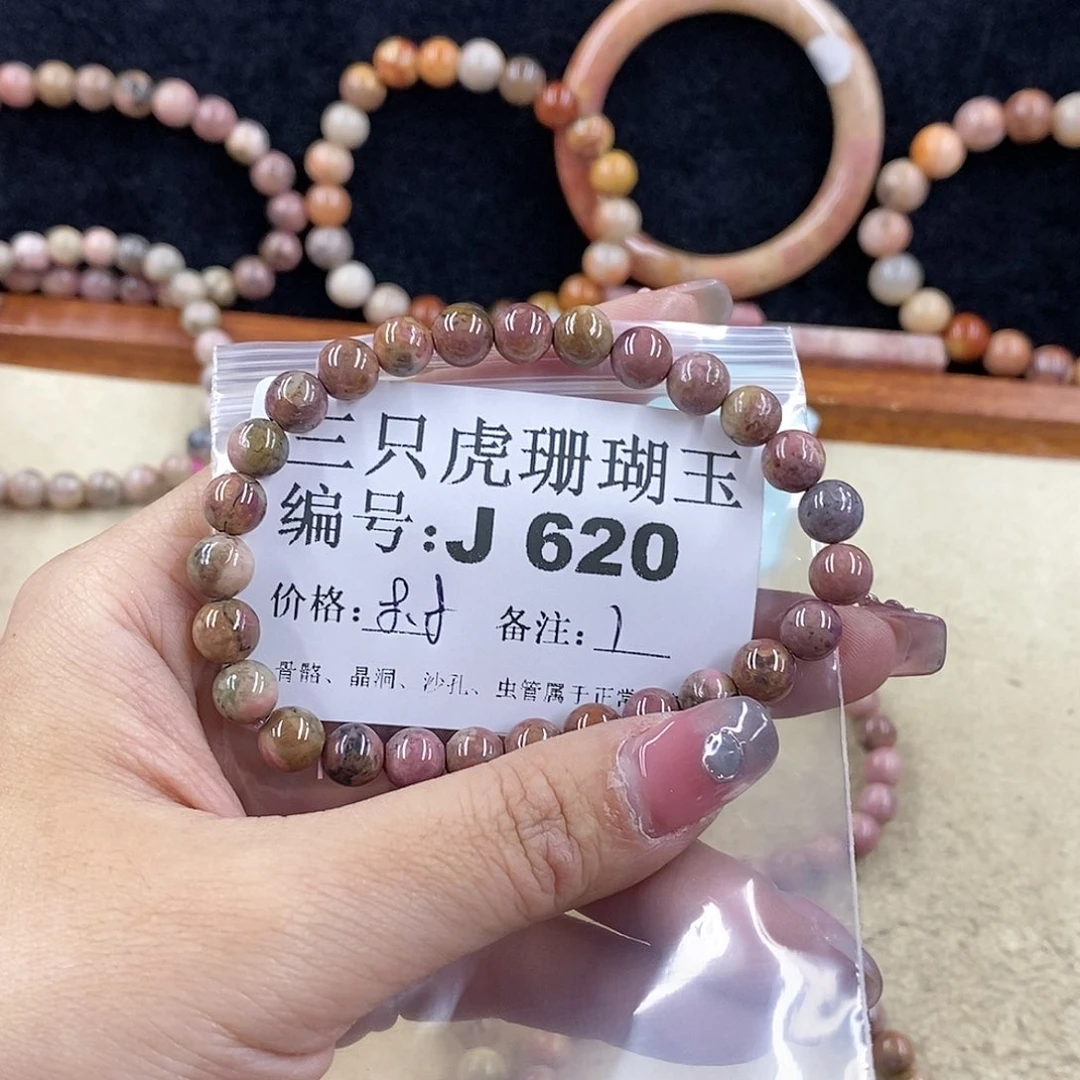 硅化珊瑚（珊瑚玉）1未镶嵌C****C