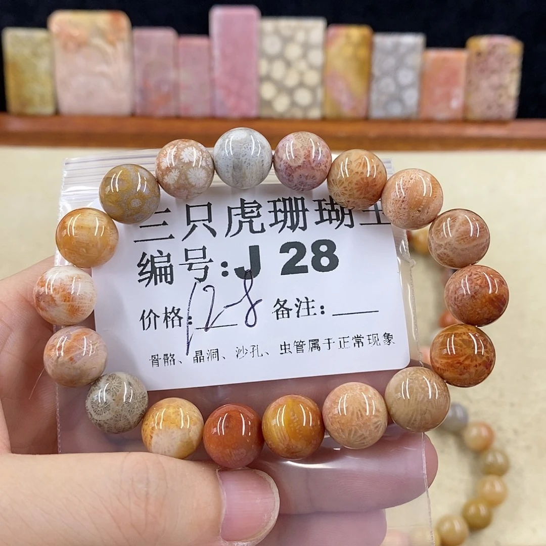 硅化珊瑚（珊瑚玉）1未镶嵌九**ღ