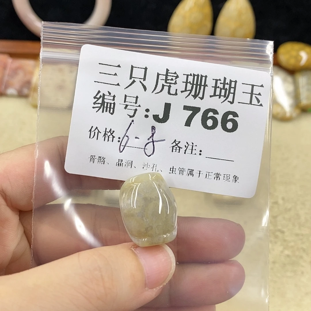 硅化珊瑚（珊瑚玉）1未镶嵌寒**切