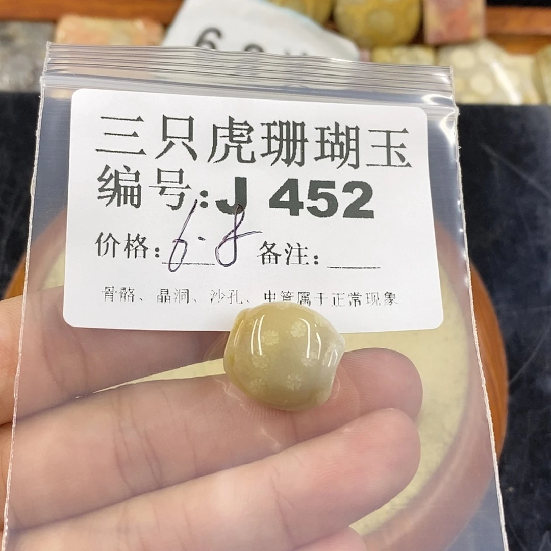 硅化珊瑚（珊瑚玉）1未镶嵌马***运