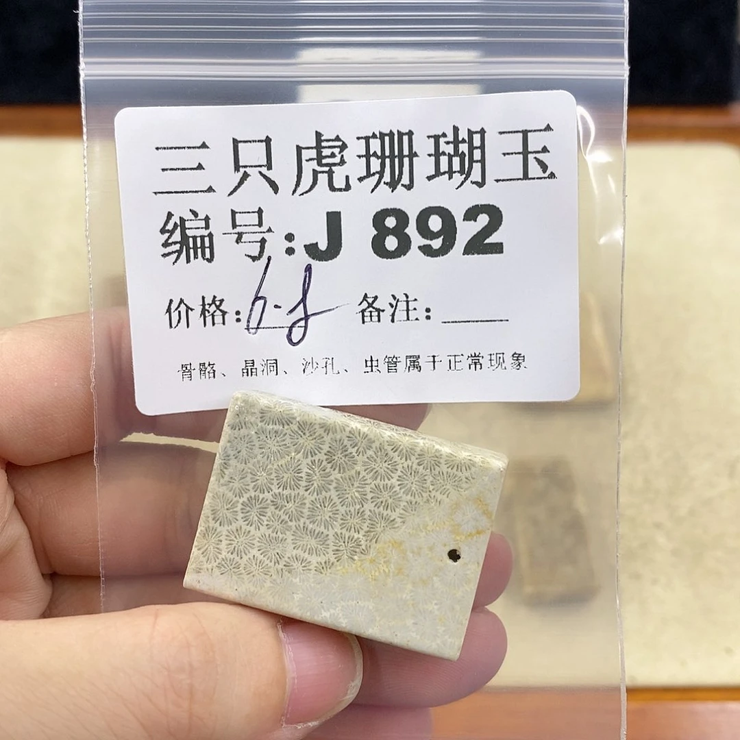 硅化珊瑚（珊瑚玉）1未镶嵌蓝****饰