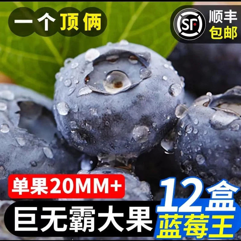 顺丰快递秘鲁进口新鲜蓝莓王鲜果应当季水果甜莓孕妇大果鲜甜香甜