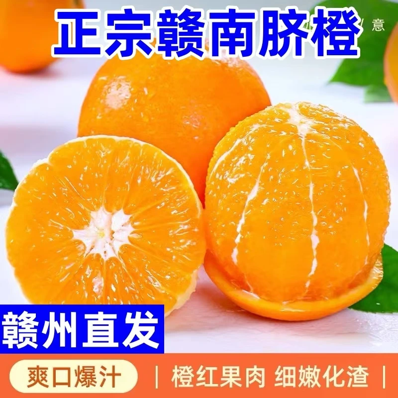 江西橙子正宗赣南脐橙产地直销新鲜水果应季10斤装赣州直发原产地