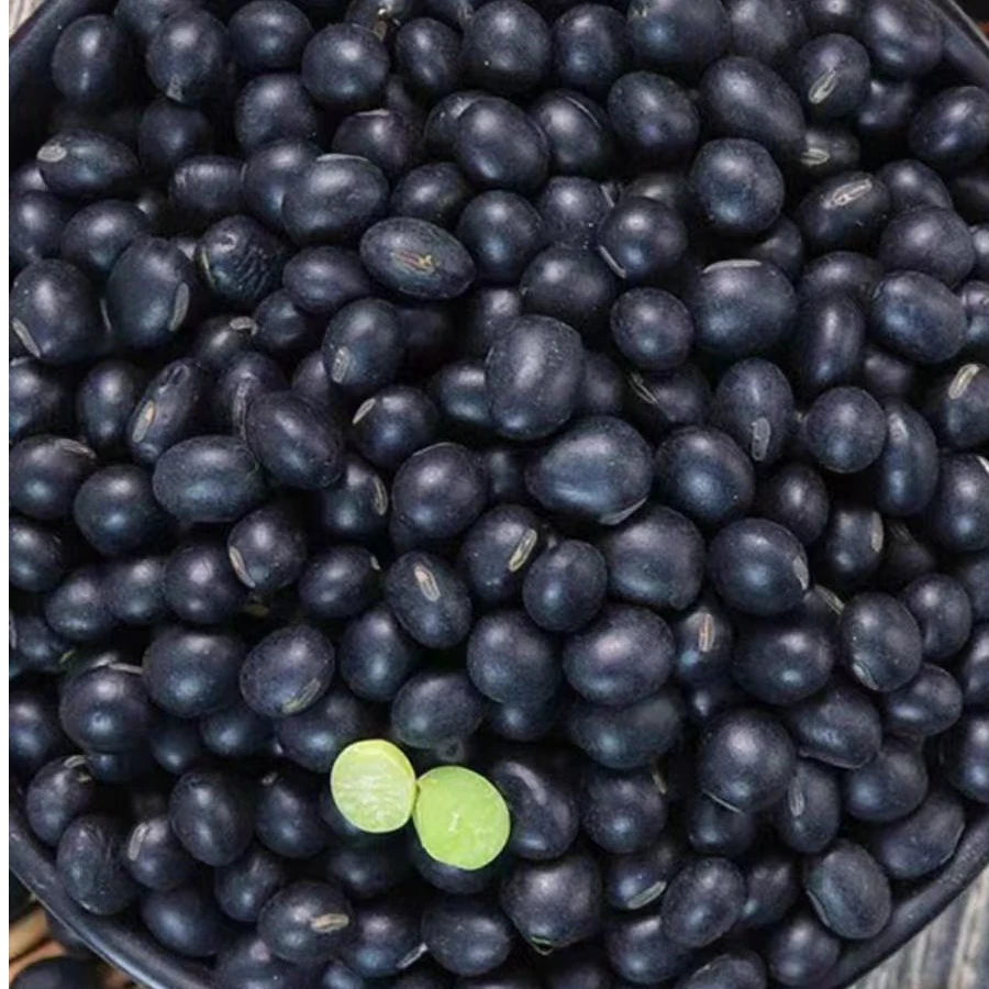 云南青仁绿心黑豆生新货农家现收无染色五谷杂粮煮粥食用饱满颗粒
