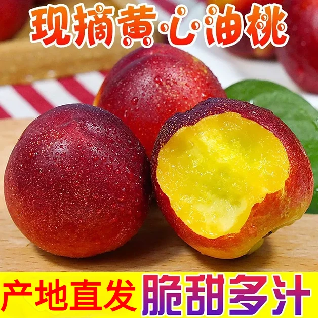 【露天油桃】山西产地麻点黄肉大油桃2/3/4.5/5斤新鲜水果现摘现发