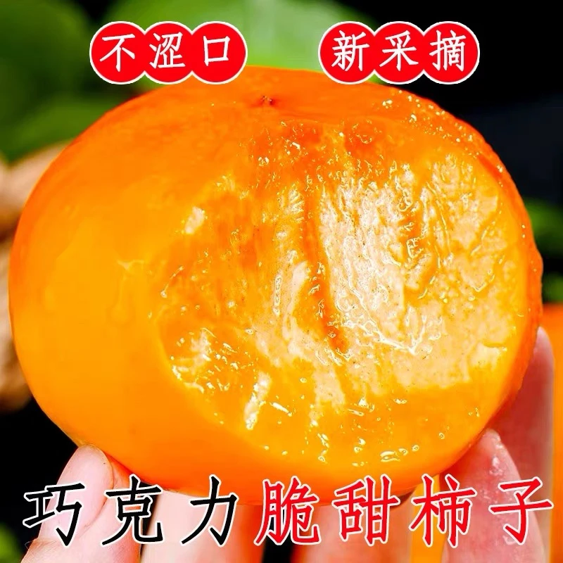 正宗山西阳丰巧克力脆柿子脆甜可口产地直发现摘现发带箱5斤sss