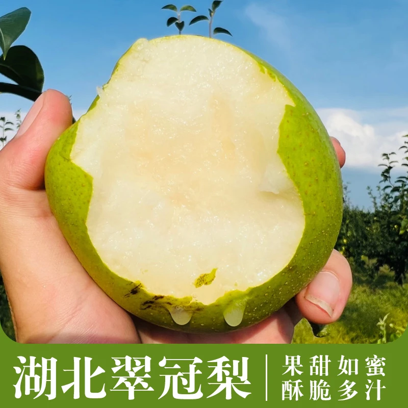【农场自种】湖北早青翠冠梨 甜蜜酥脆化渣多汁 4.8斤 带果锈