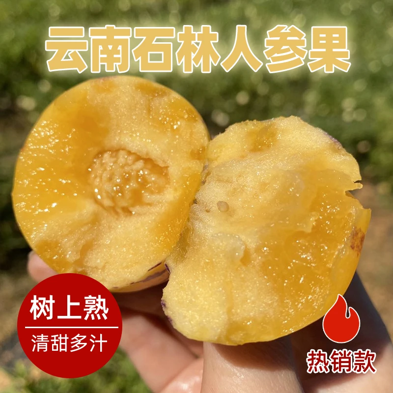 云南石林树熟人参果 3斤/4.5斤装 黄肉圆果 清甜多汁