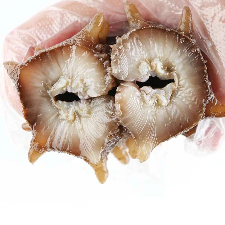 参半岛大连高品质即食辽刺参特价福利款营养天然滋补深海炖汤