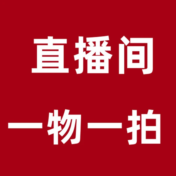 【冬日玫瑰】多头羽衣甘蓝耐寒 耐热 易成活 年宵花卉