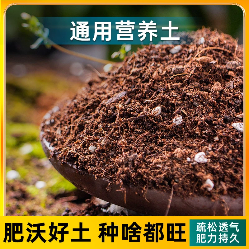 【四季通用轻质土】通用型泥炭营养土大包养花种菜育苗有机种植土壤