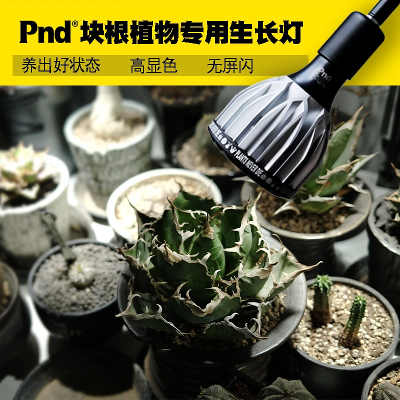 pnd块根植物专用生长补光灯多肉盆景鹿角蕨室内热植龙舌兰全光谱