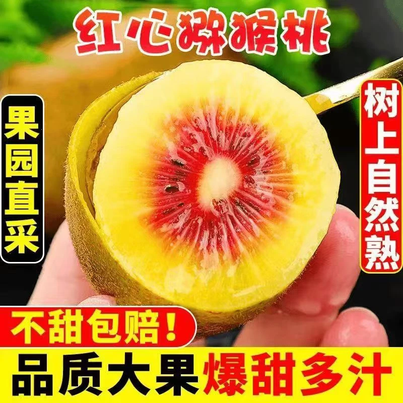 【催熟食用】红心猕猴桃12粒单果50g+新鲜猕猴桃/多仓发货【前】