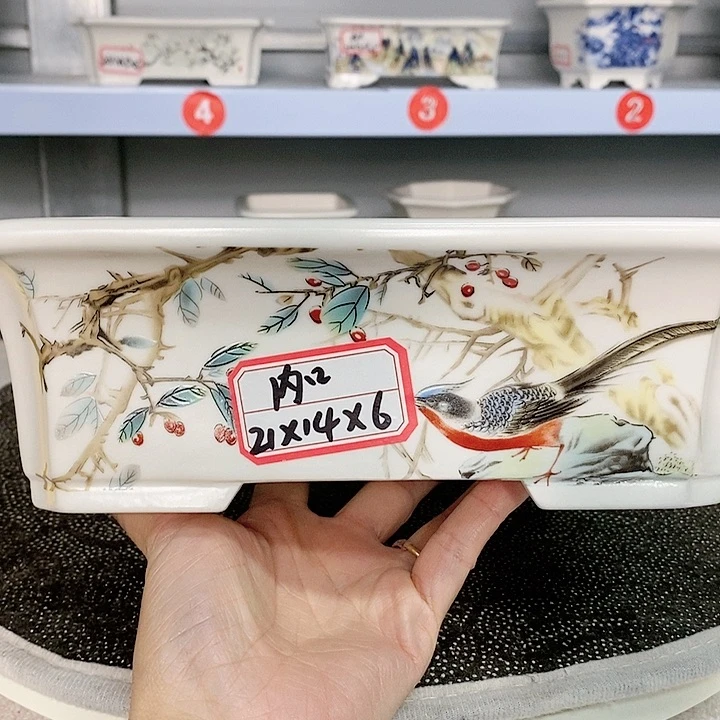 红陶20CM（含）-50CM（不含）