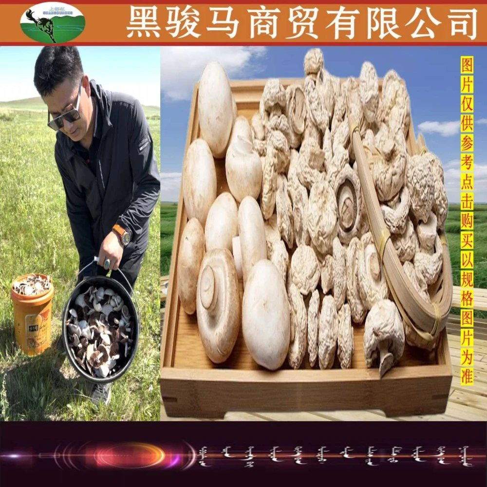 内蒙古大草原美食野生食用3种干蘑菇干蘑菇炖鸡草原白蘑草原黑蘑