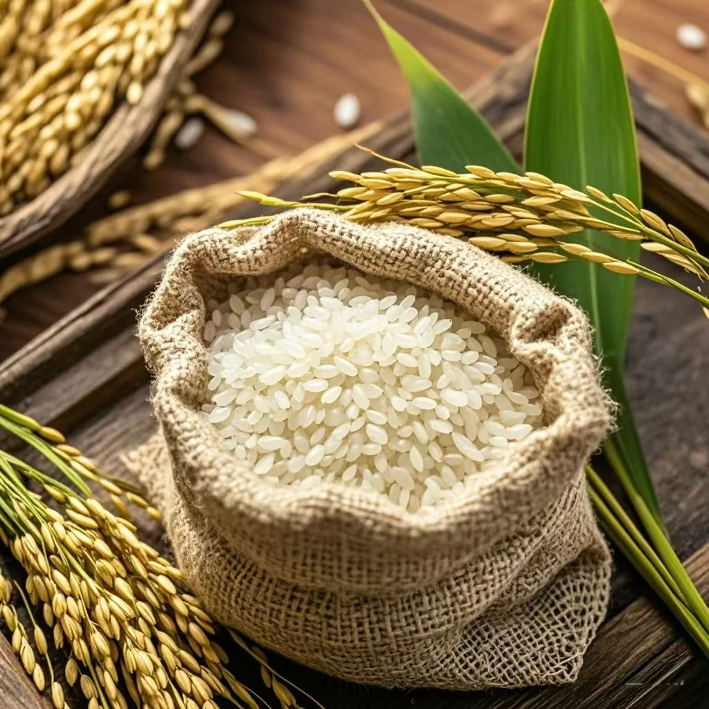 延边大米 圆粒珍珠米 10斤装 简装