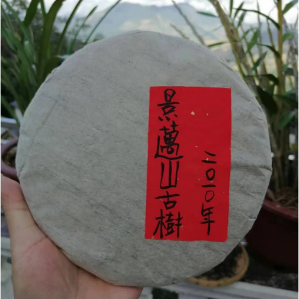 【以茶之铭】2010年·景迈山古树老生茶357g生茶（带茶样）拆封不退