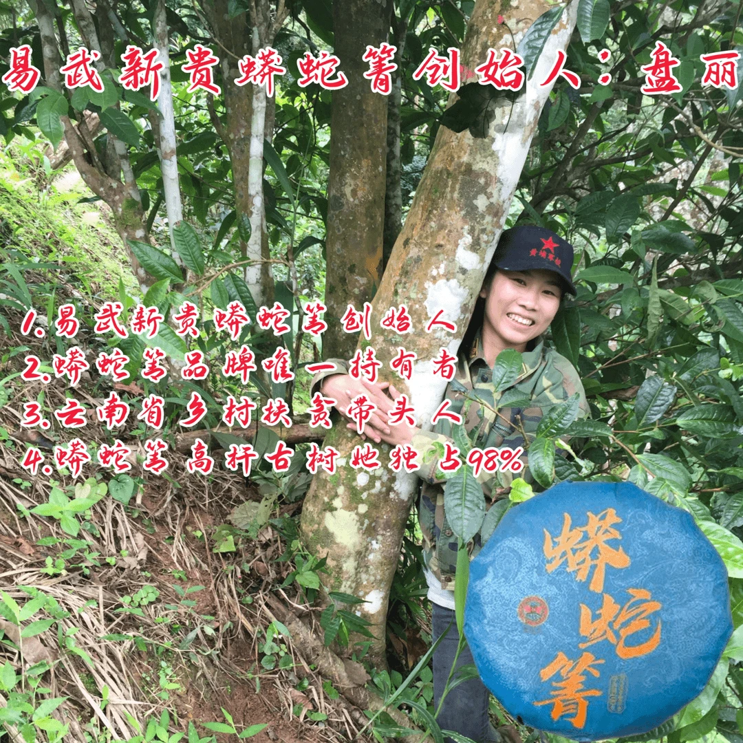 【以茶之铭】盘甄号蓝色蟒蛇箐·100克普洱生茶