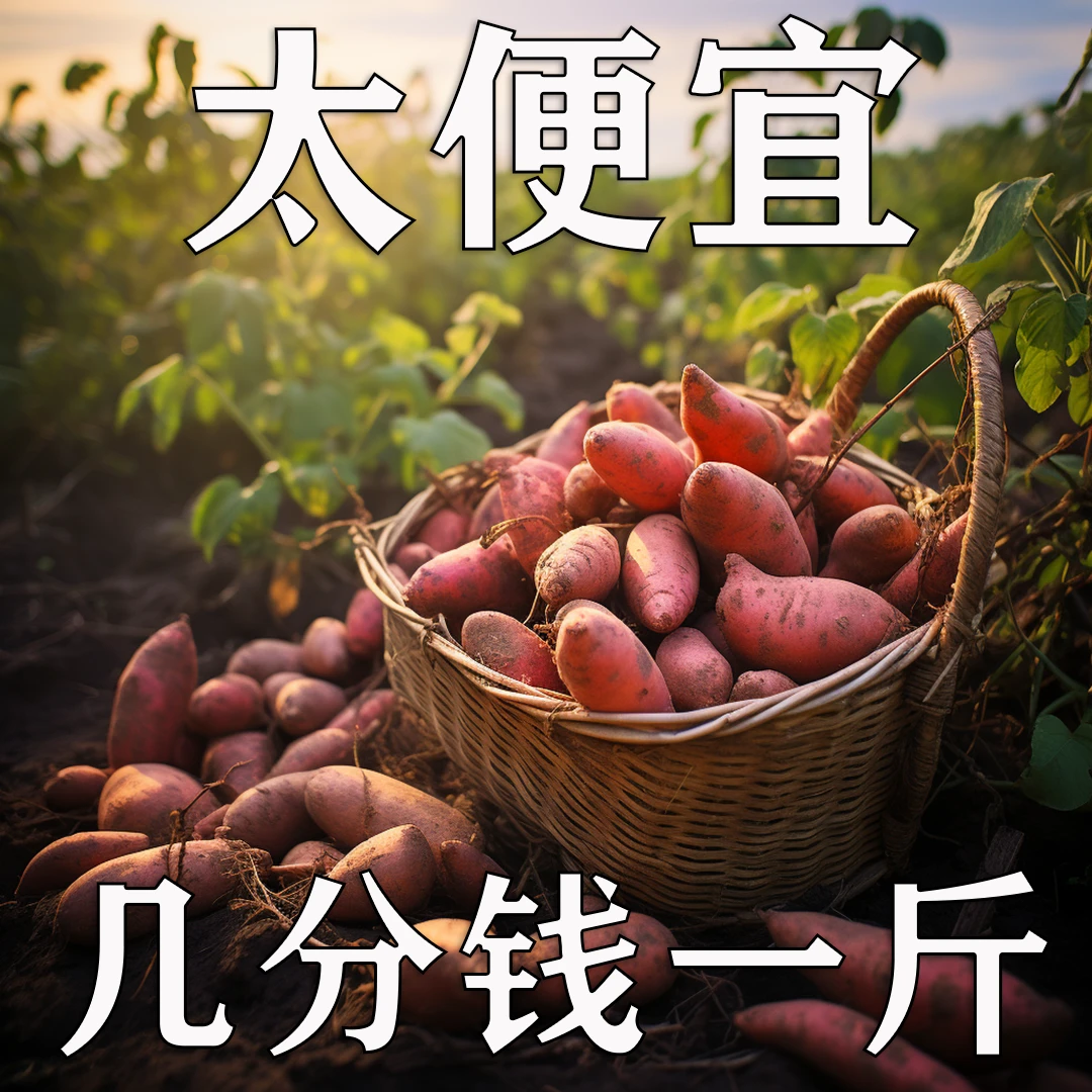 【抢购中】沙地蜜薯红薯1/5/9斤番薯地瓜板栗薯糖新鲜超甜粉糯整箱