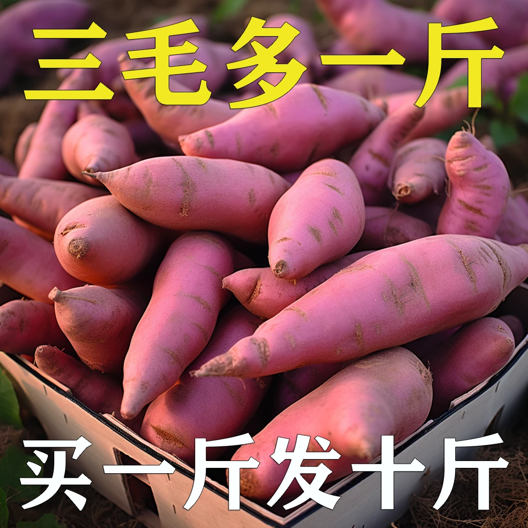 【超低价】超甜沙地红薯1/5/9斤地瓜蜜薯红薯板栗红薯粉糯香甜批发