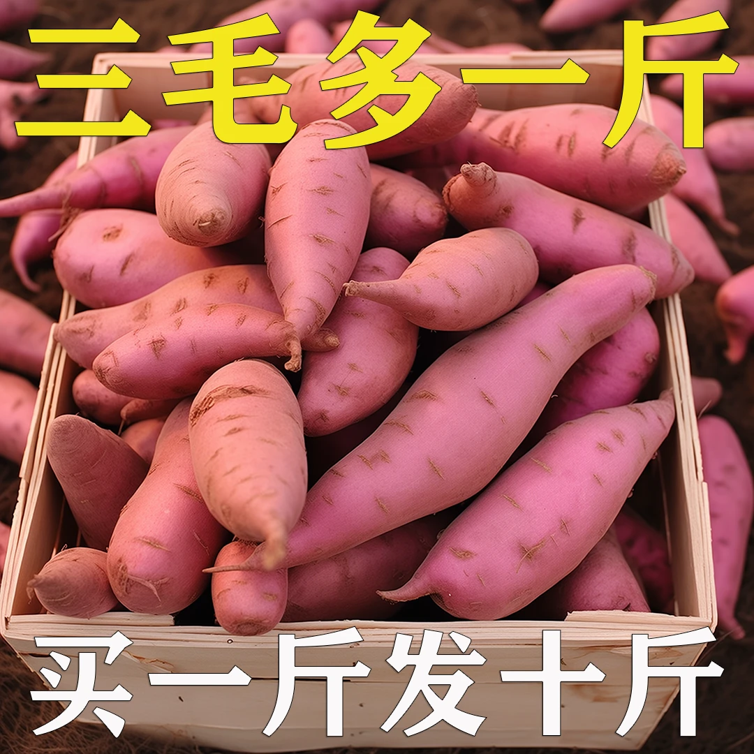 【超低价】正宗沙地蜜薯1/5/9斤烤地瓜现挖番薯产地直发板栗红薯