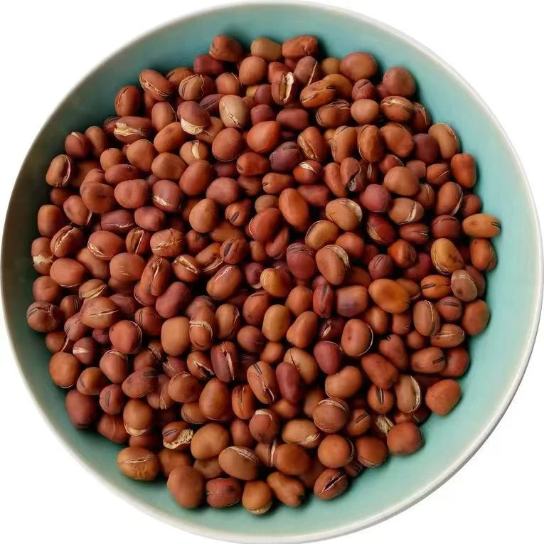 小龙眼开口蚕豆酥脆炒货香脆小龙眼豆锅炒胡豆馋豆零食原味炒制