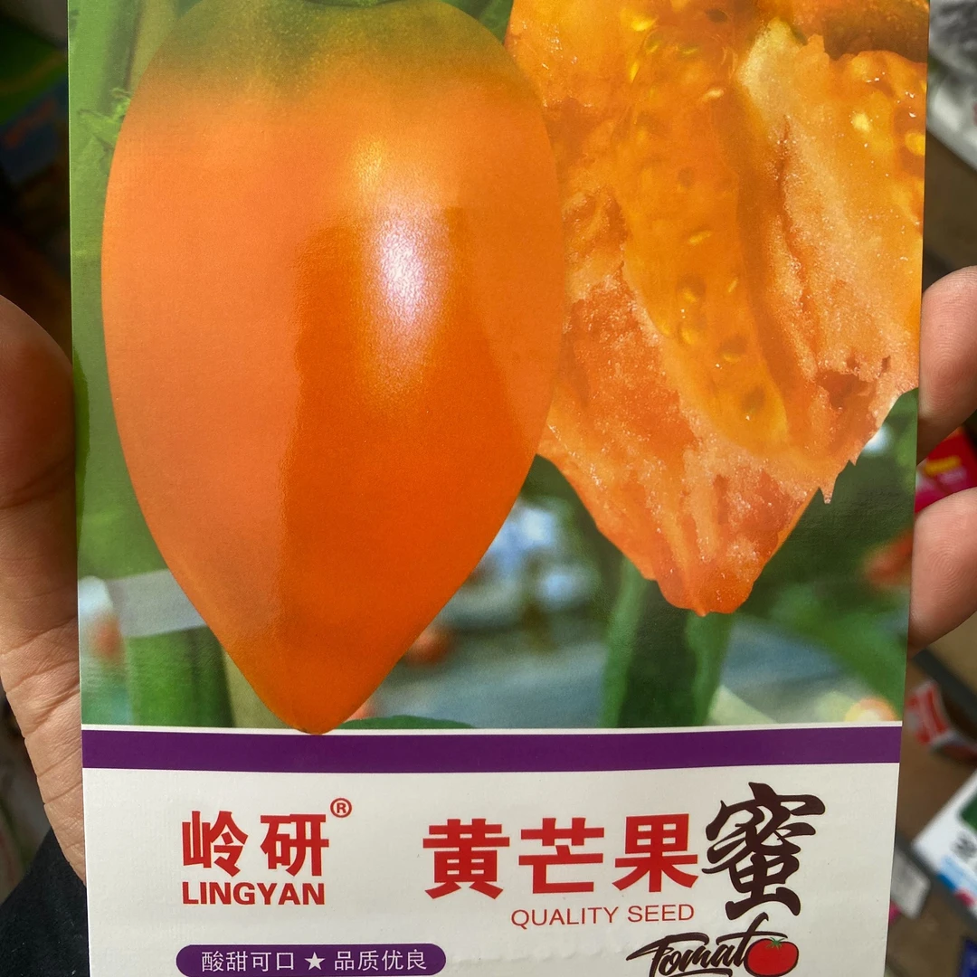 【种子】岭研黄芒果柿子籽