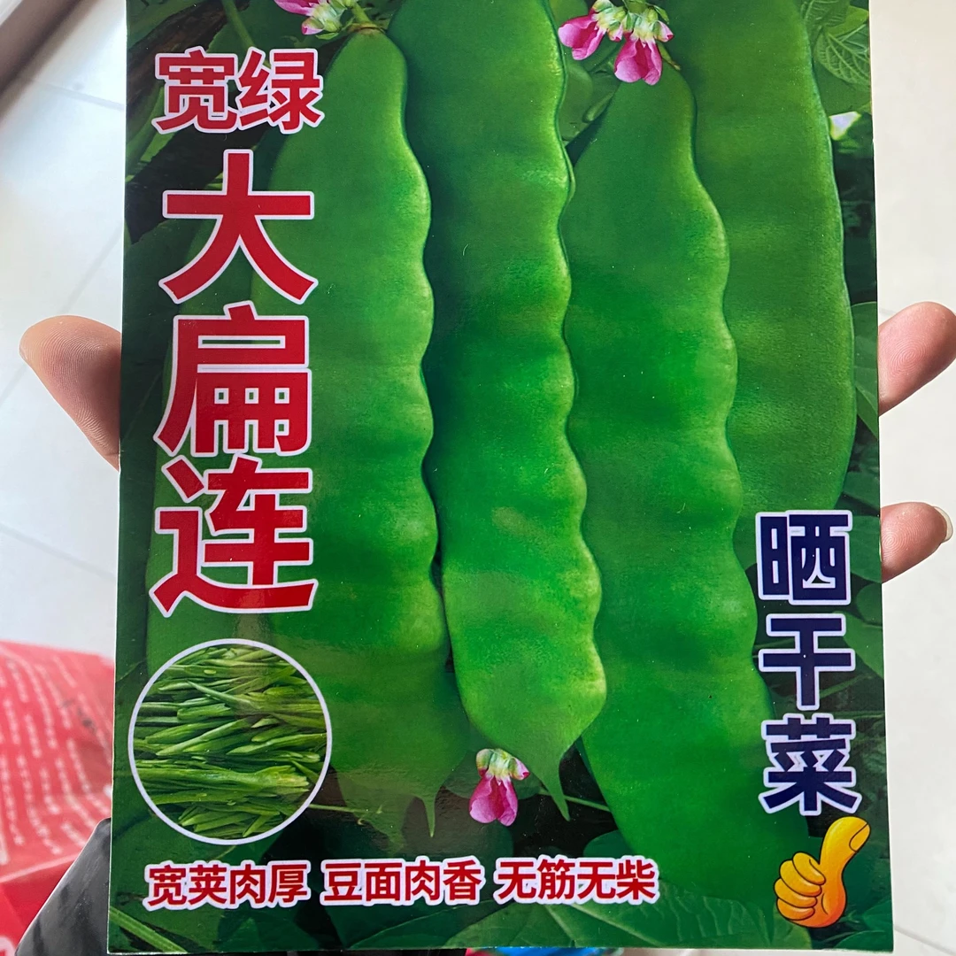 【种子】大扁连宽夹豆角籽