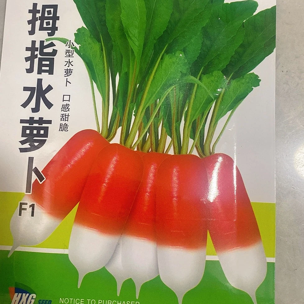 【种子】鑫宇拇指萝卜籽