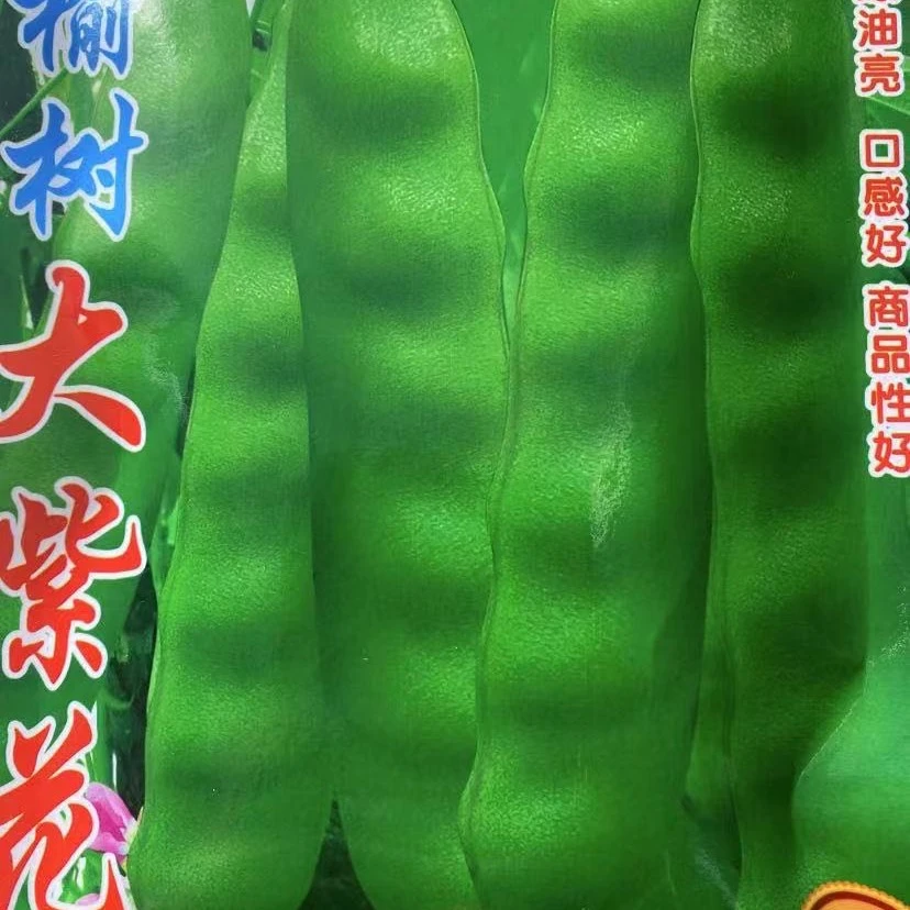 【种子】榆树大紫花豆角籽