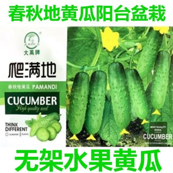【种子】大禹满地爬黄瓜