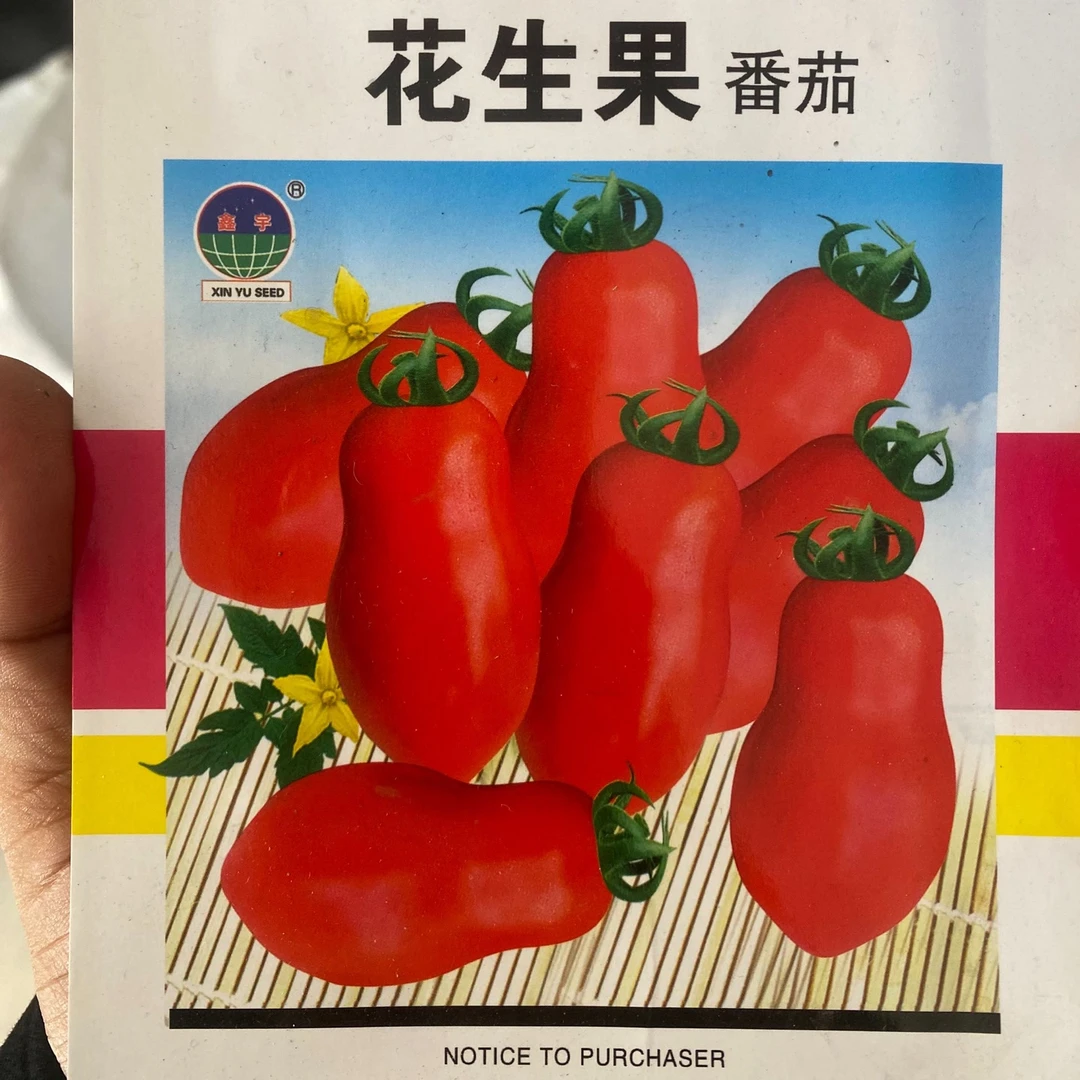 【种子】花生果柿子籽