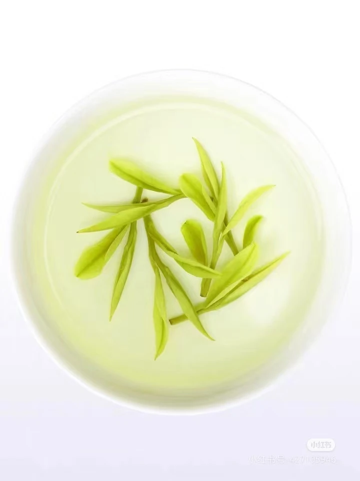【A1雨前采摘】2025年新茶安吉明前白茶春茶耐泡