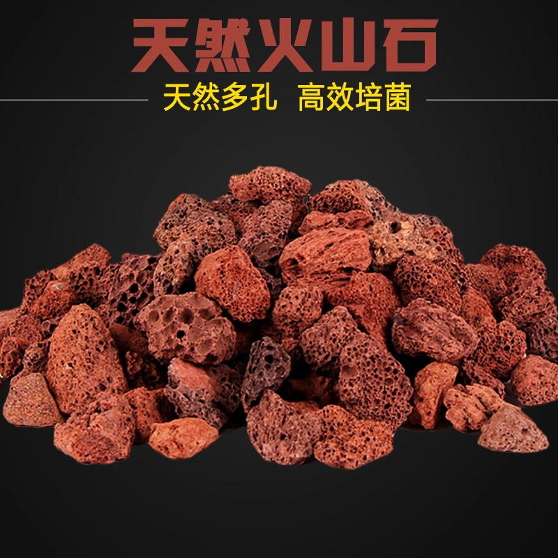 天然水族过滤材料大块火山石鹦鹉罗汉鱼缸铺底增色多肉铺面