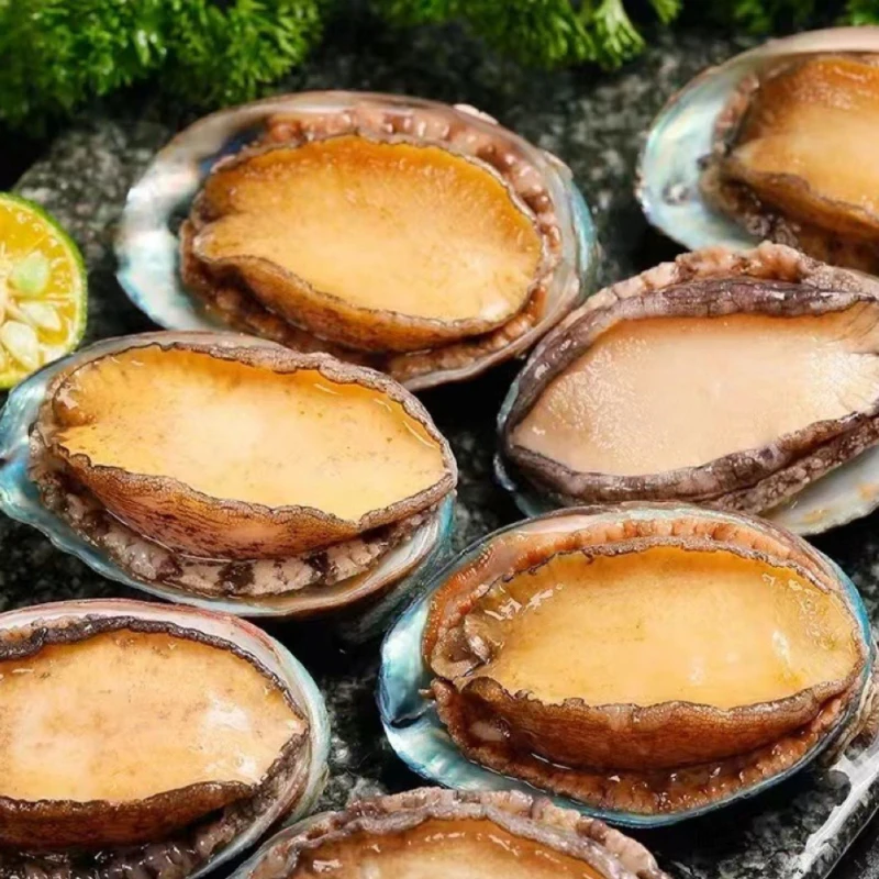 【百柳海鲜节】鲜活鲍鱼大号1个