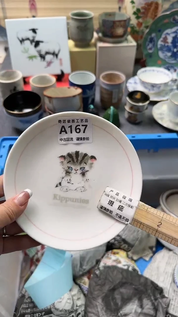 【闪购商品】密胺瓷片167