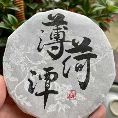 薄荷潭小饼茶  2023年自制普洱茶生茶  格茶生活