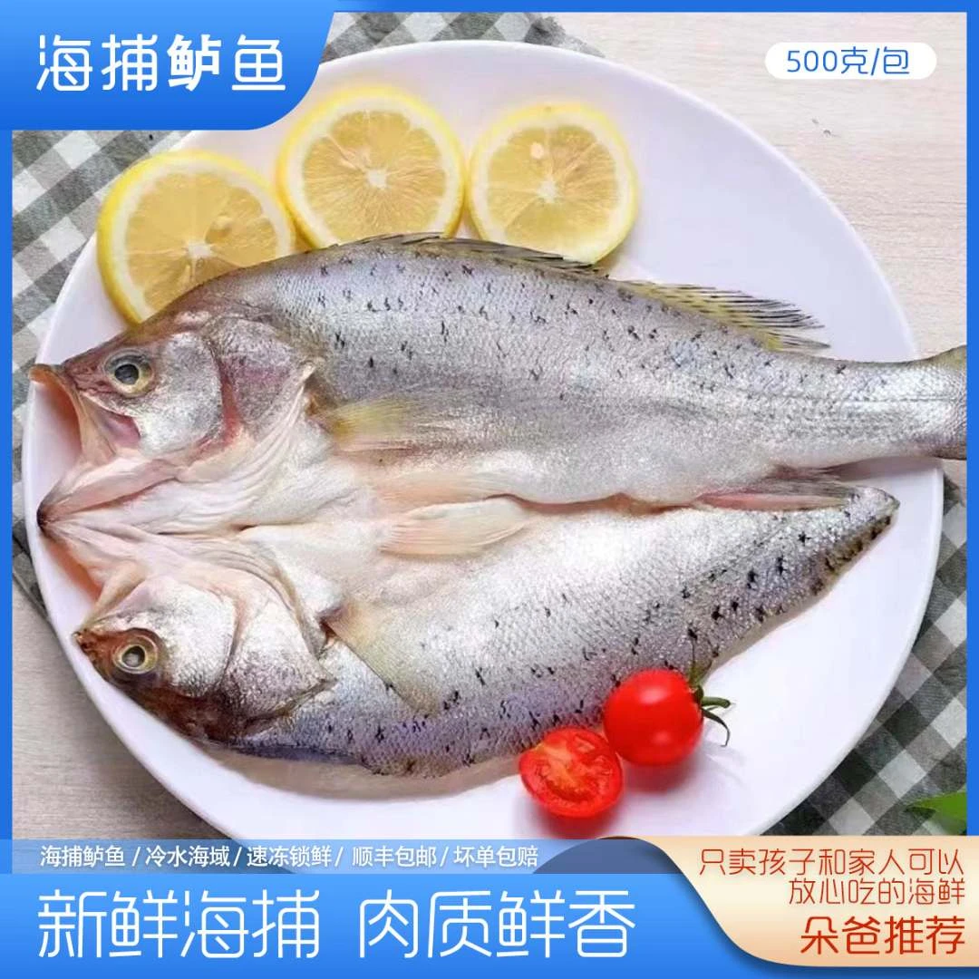 新鲜开背海鲈鱼 免杀免处理 约500g/条 日照朵爸