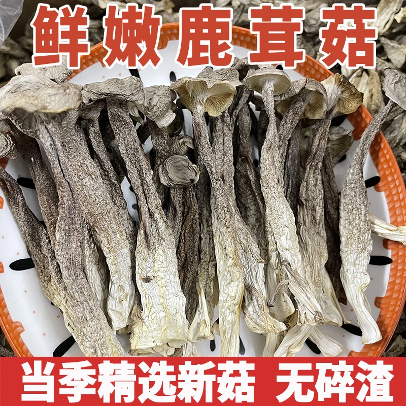 新鲜高山大条精品鹿茸菇干货炒肉炖汤鲜香脆干锅炒菜排骨营养腊肉