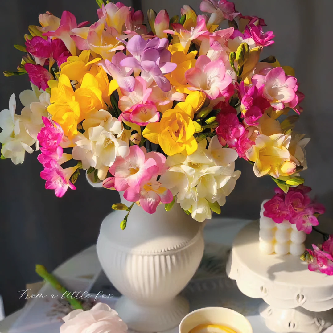 香雪兰鲜切花水养办公室观赏东北基地产地直发顺丰包邮