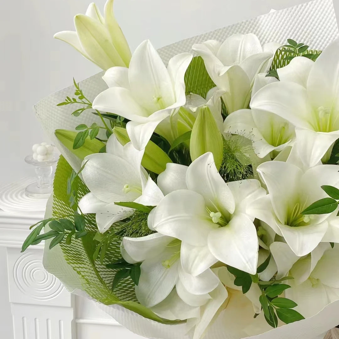 （白色铁炮）淡香型香水百合水养鲜花养护插瓶观赏东北顺丰包邮