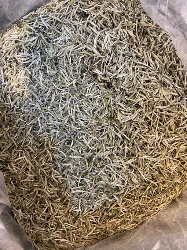 2024年雪后正宗管阳高山白毫银针 毫香.鲜甜.250g/500g