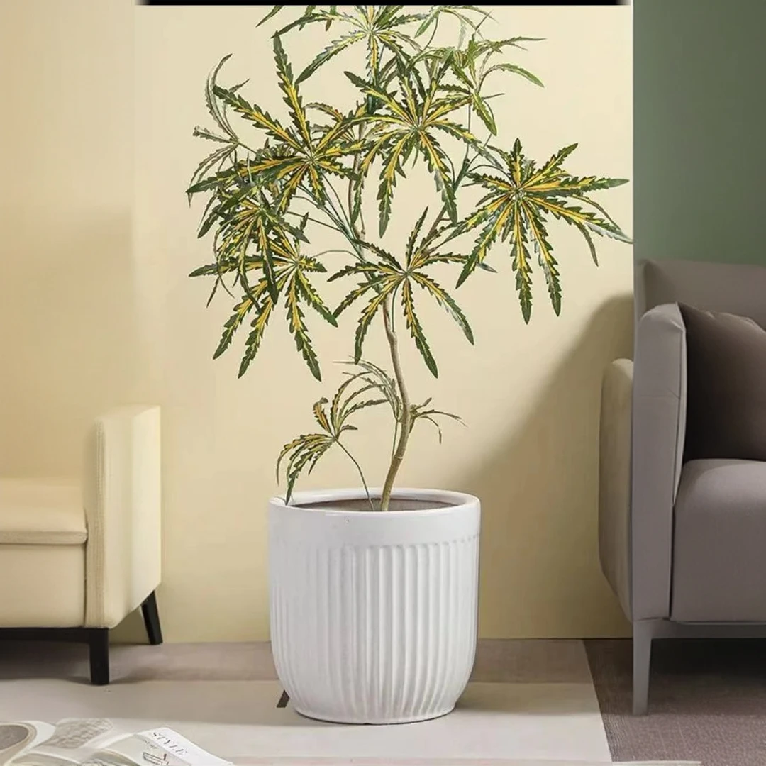 北欧高温陶瓷落地大号白色细竖条简约轻奢花盆天堂鸟种植盆栽