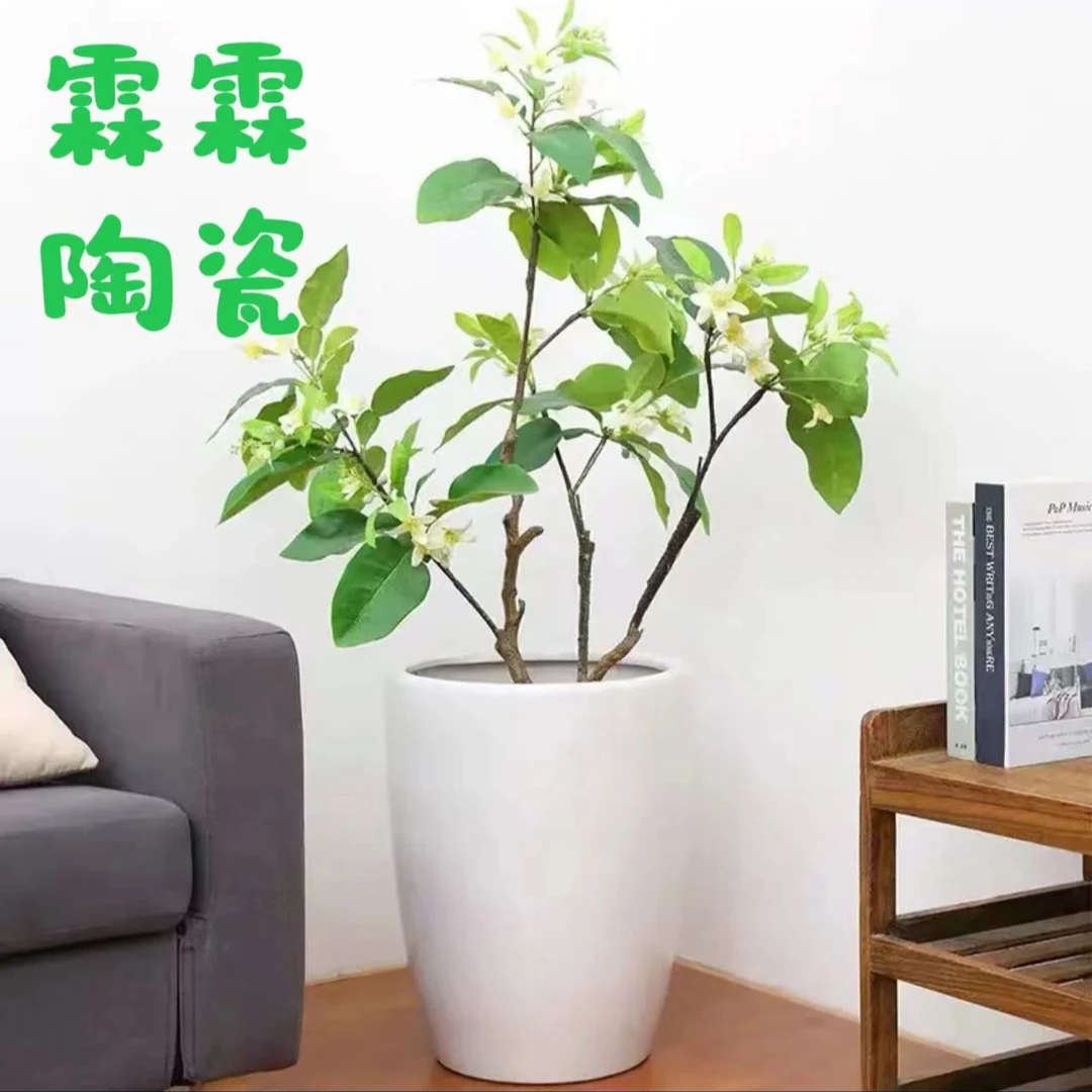 北欧子弹头陶瓷圆润花盆阳台防晒发财树幸福树龙血树绿植盆栽微瑕