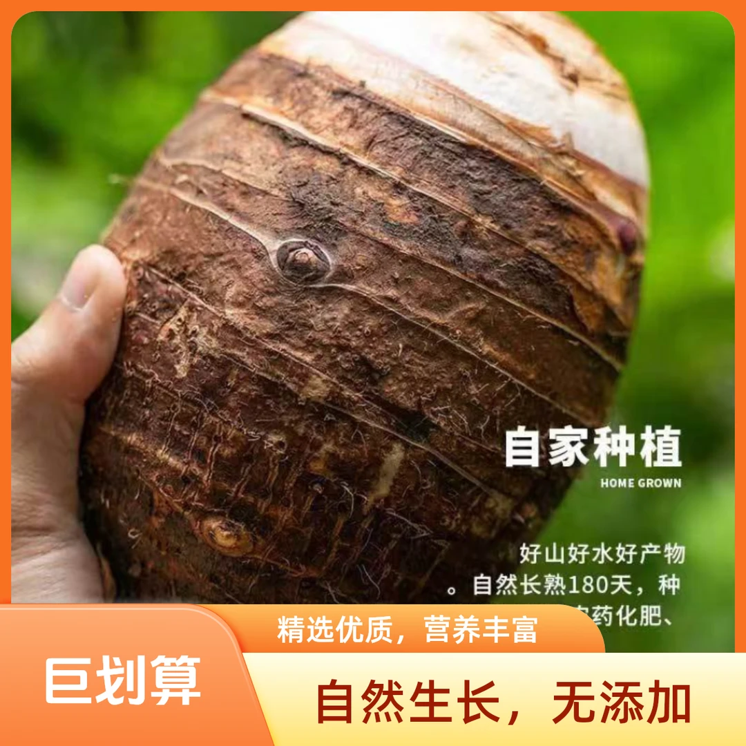 宠粉新鲜正宗荔浦芋头种植基地现挖现发包粉包糯坏果包赔削皮粉嫩