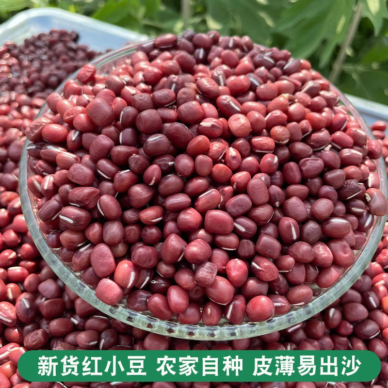 当季新红小豆农家自种五谷杂粮红豆新货粗粮薏米煮粥赤豆种子薏仁