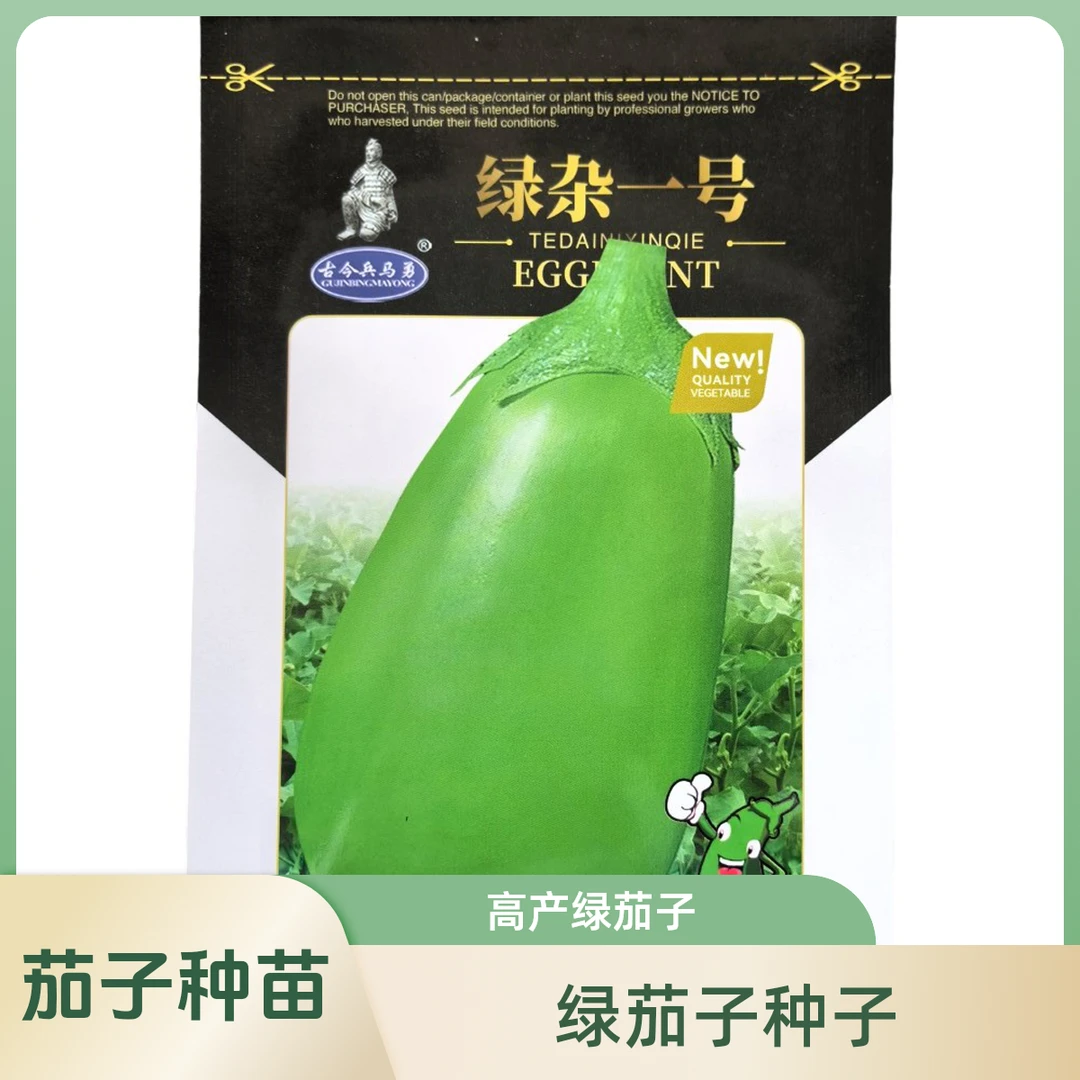绿杂一号茄子种子 正宗优质早熟绿皮绿肉大果高产抗病杂交茄子种