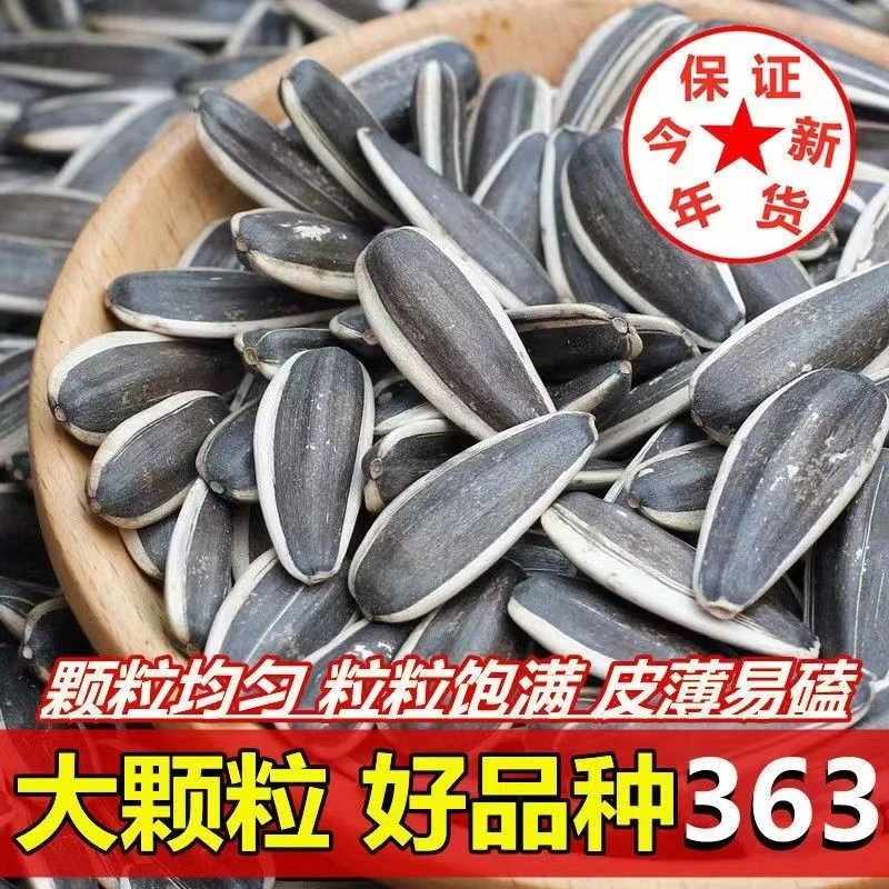 正宗原味现炒葵花籽新瓜子大包装瓜子内蒙古特产大草原无污染瓜子